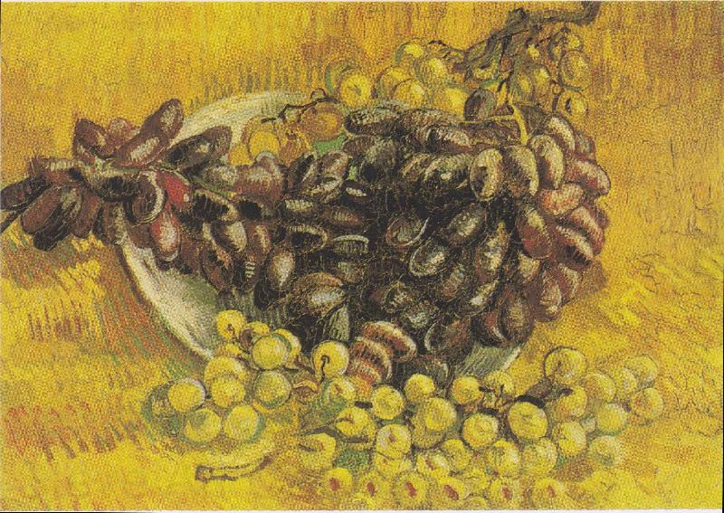 Vincent Van Gogh Stillleben mit Weintrauben